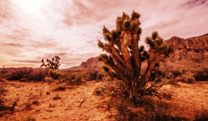 th_692071f2684e67e3c67ea83f528ff869_Teaser-Heineken-6 th_692071f2684e67e3c67ea83f528ff869_Teaser-Heineken-6